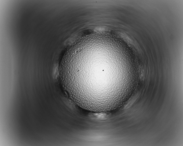 X0000088230478200705292137