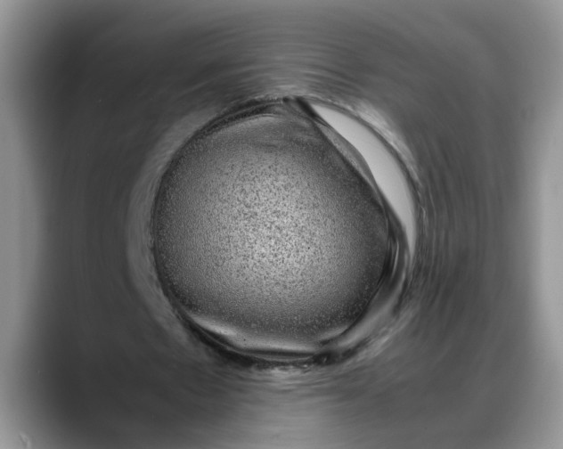 X0000088230481200705292137