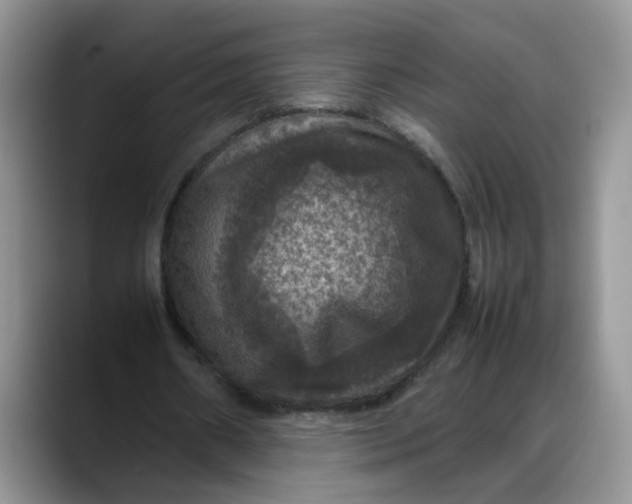 X0000088230482200705292137