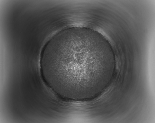 X0000088230486200705292137