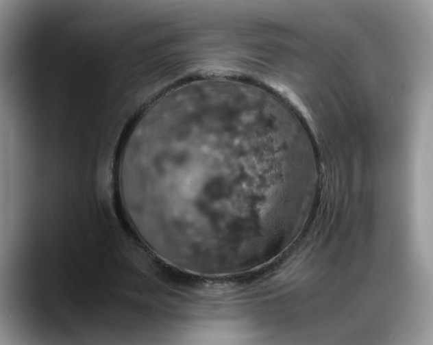 X0000088230487200705292137