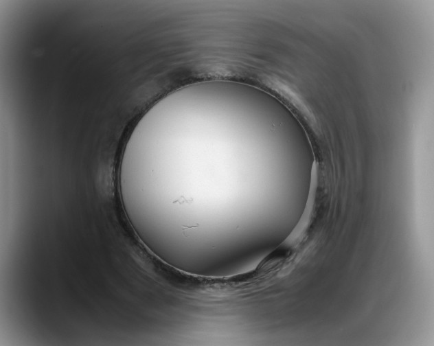X0000088230489200705292137