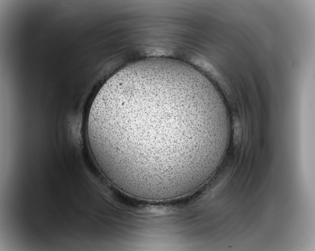 X0000088230490200705292137