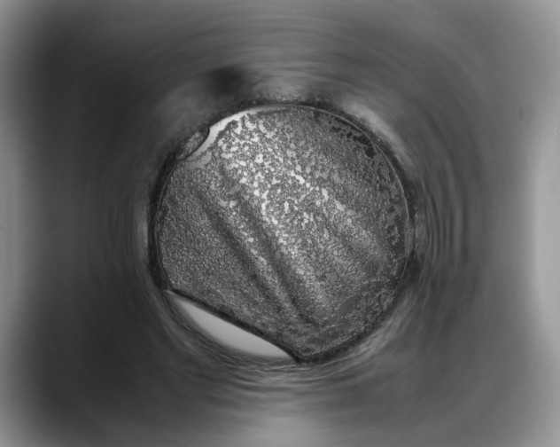 X0000088230493200705292137