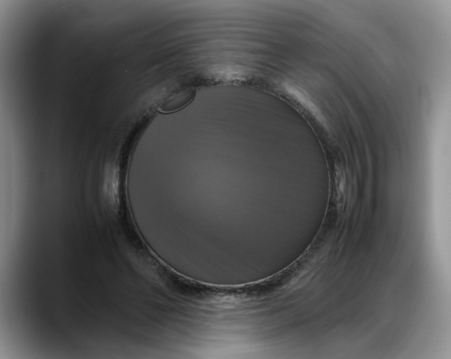 X0000088230494200705292137