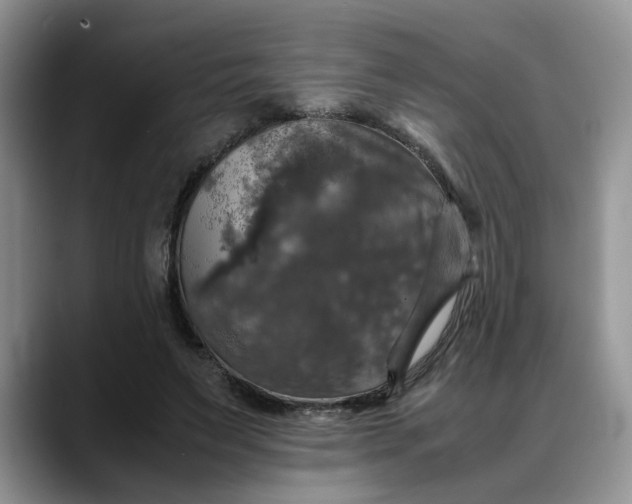 X0000088230495200705292137
