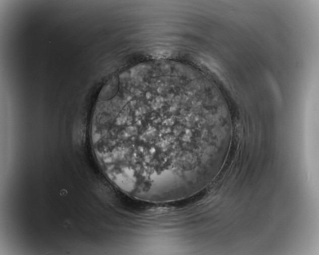 X0000088230499200705292137