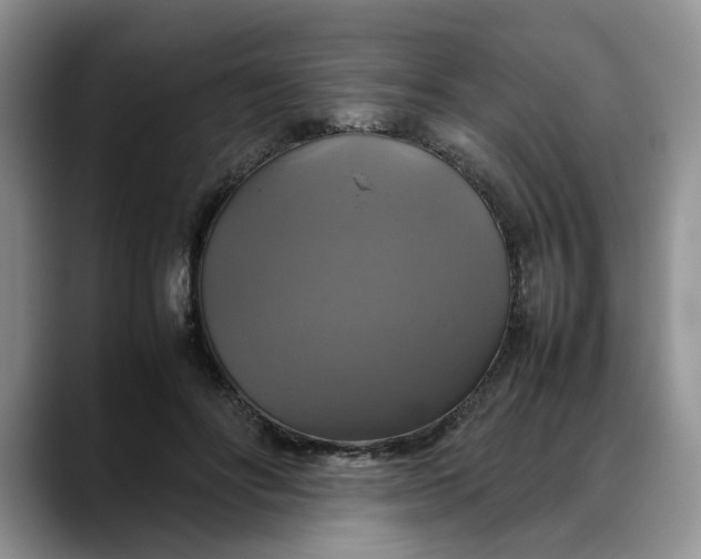 X0000088230502200705292136