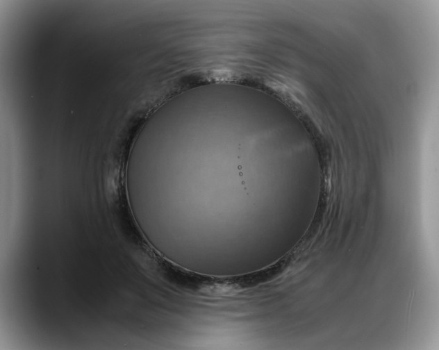 X0000088230503200705292136
