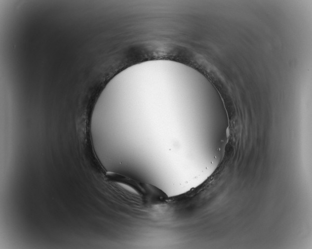 X0000088230509200705292136