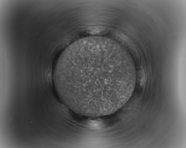 X0000088230510200705292136