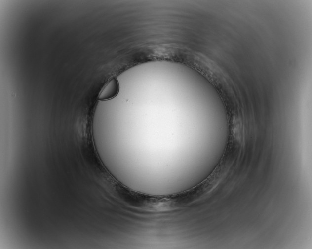 X0000088230514200705292136