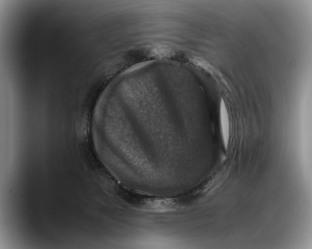 X0000088230517200705292136