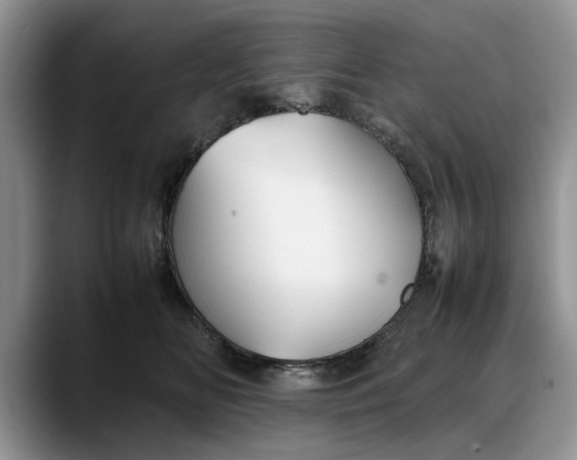 X0000088230518200705292136