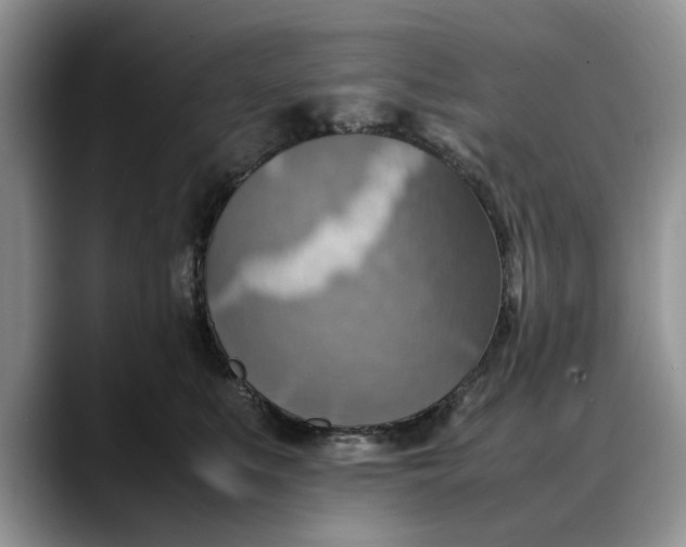 X0000088230519200705292136