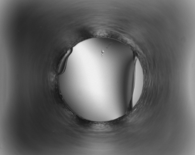X0000088230521200705292136