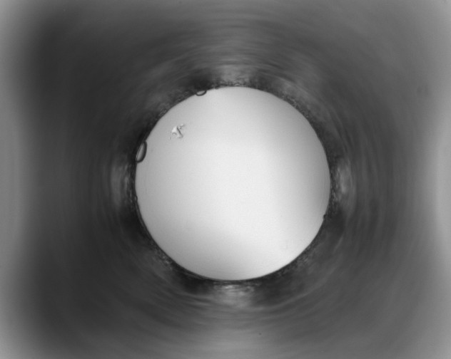 X0000088230522200705292136