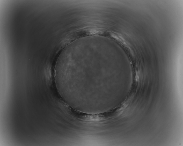 X0000088230524200705292136