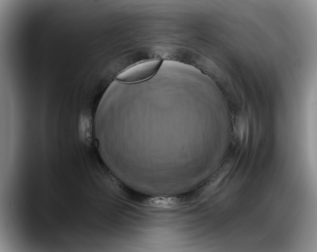 X0000088230526200705292136
