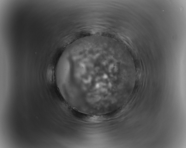 X0000088230527200705292136