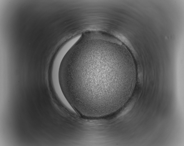 X0000088230530200705292136