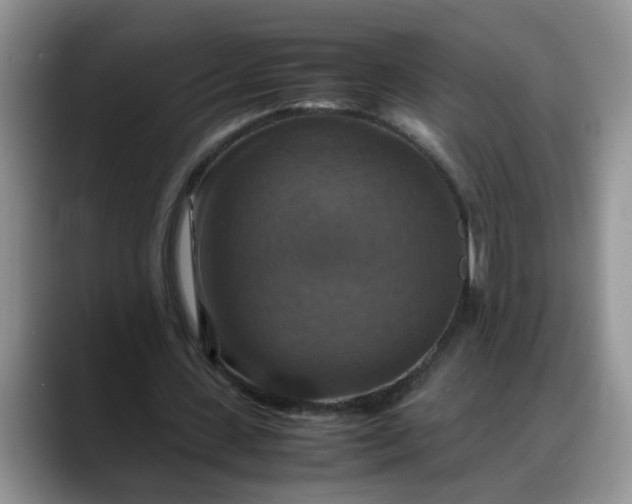 X0000088230531200705292136