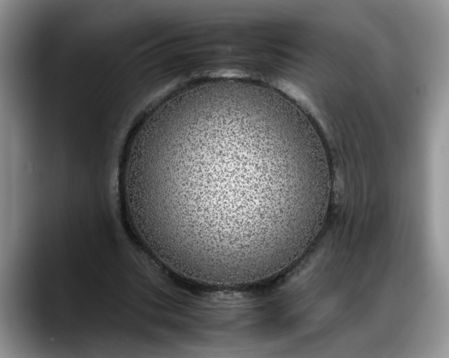 X0000088230535200705292136
