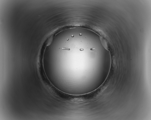 X0000088230536200705292136
