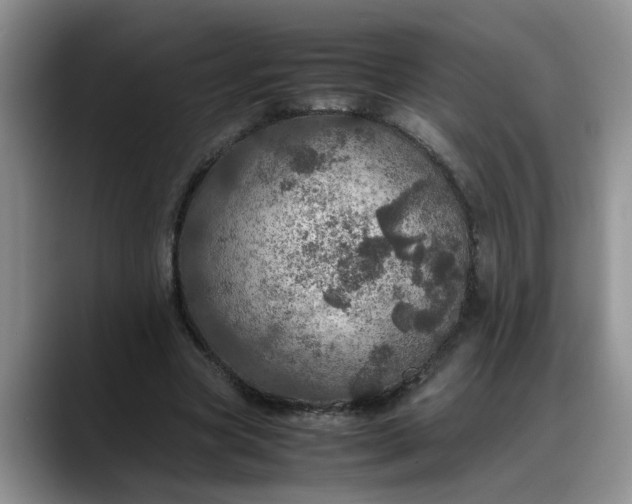 X0000088230537200705292136