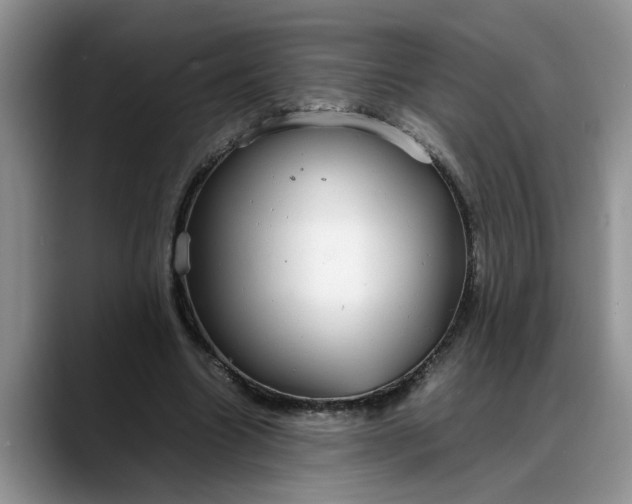 X0000088230538200705292136