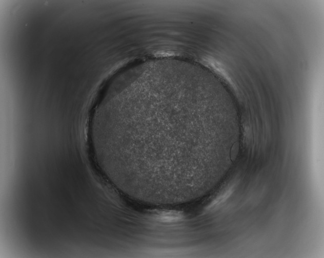X0000088230539200705292136