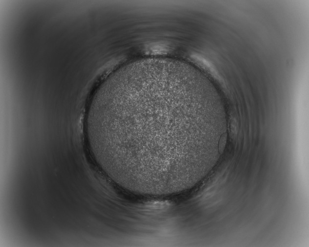 X0000088230543200705292136