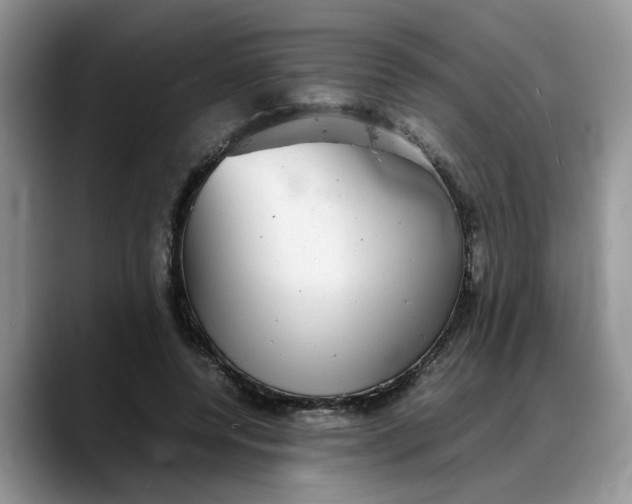 X0000088230544200705292136