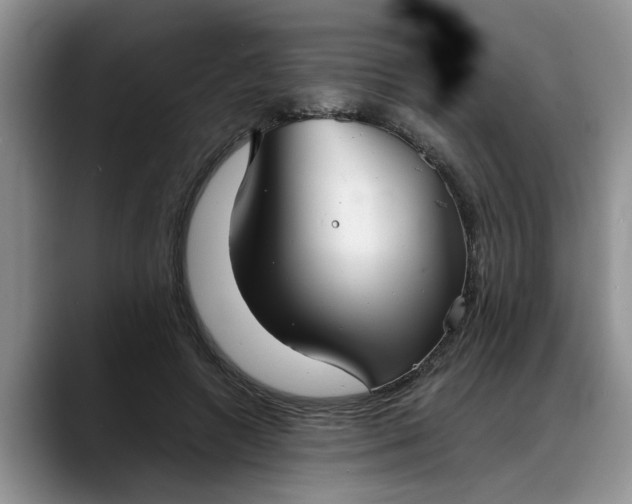 X0000088230546200705292136