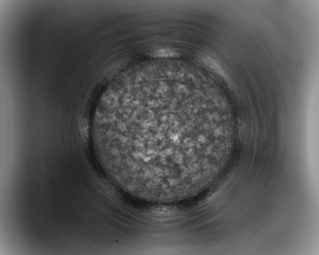X0000088230549200705292136
