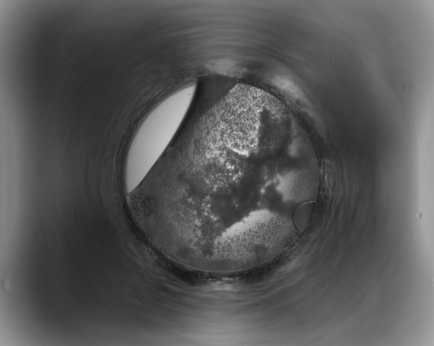 X0000088230550200705292136