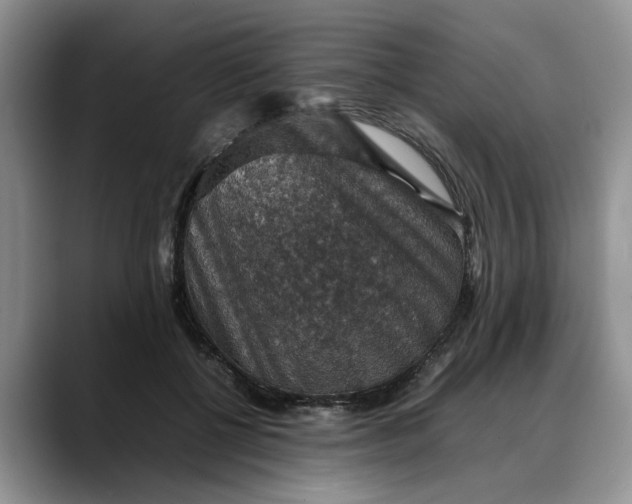 X0000088230552200705292136