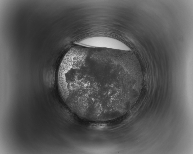 X0000088230554200705292136