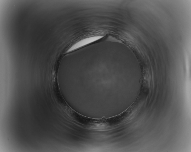 X0000088230555200705292136
