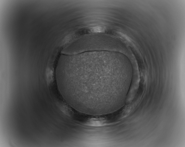 X0000088230556200705292136