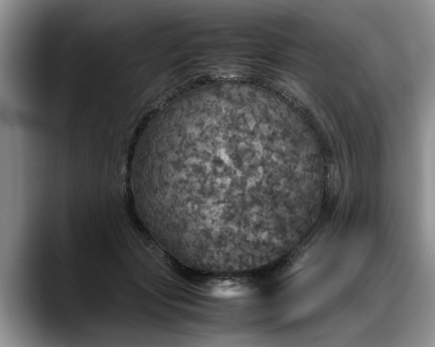 X0000088230557200705292136