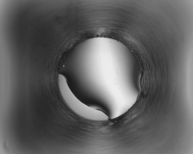 X0000088230558200705292136