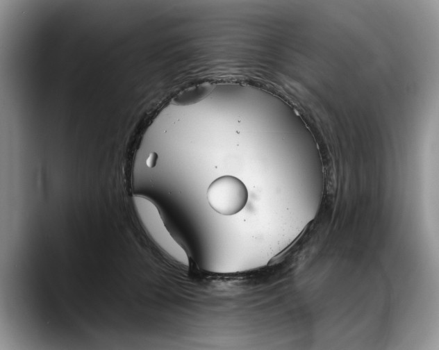 X0000088230560200705292136