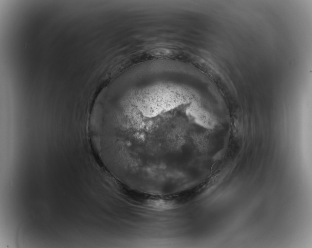 X0000088230561200705292136
