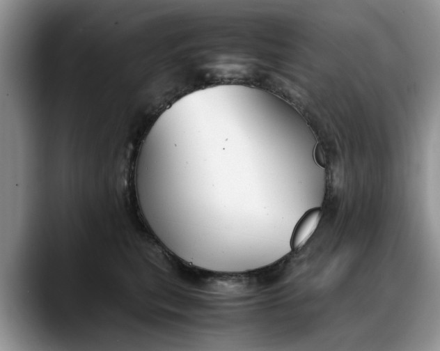 X0000088230567200705292136