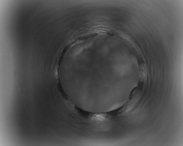 X0000088230573200705292136