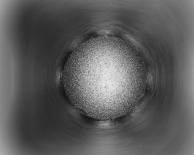 X0000088230574200705292136