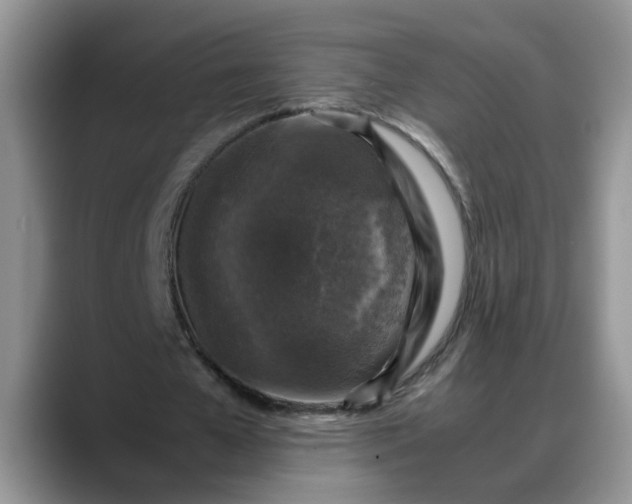 X0000088230577200705292136