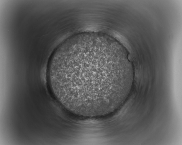 X0000088230578200705292136