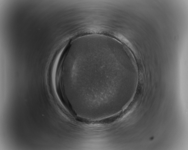 X0000088230581200705292135